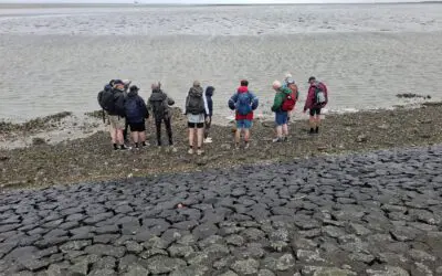 Modder aan de benen, wadlopen groot succes
