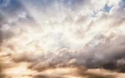 Startbijeenkomst over steun bij omgaan met verlies